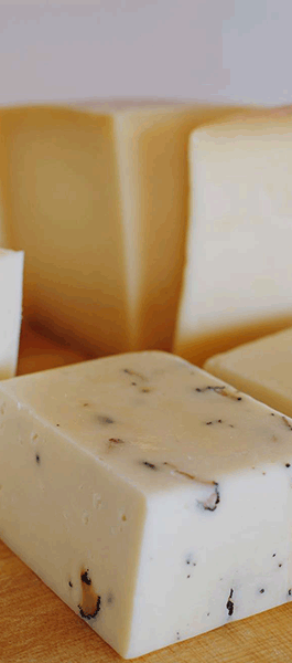Latus cheese baner