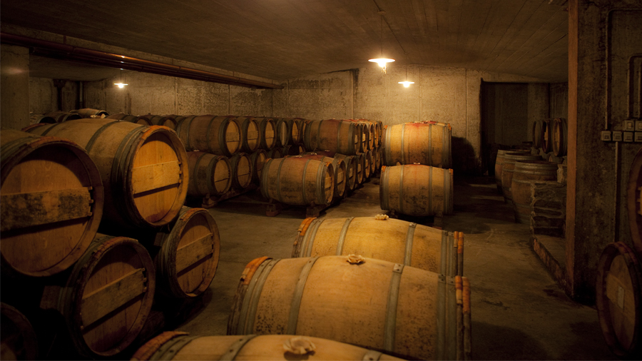 Taste Istria Kabaja wine cellar