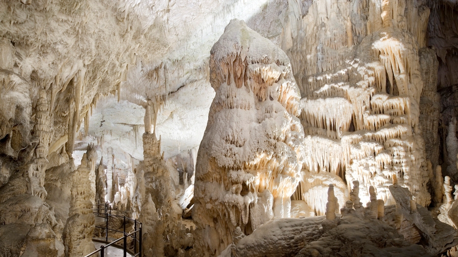 Taste Istria Postojna Cave