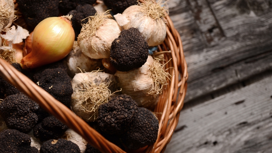 Taste Istria Black truffle