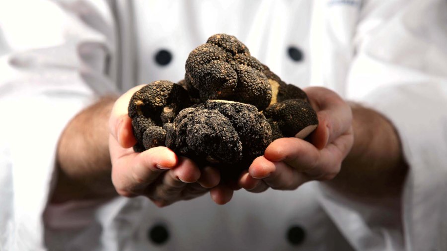 Taste Istria Black truffle cooking